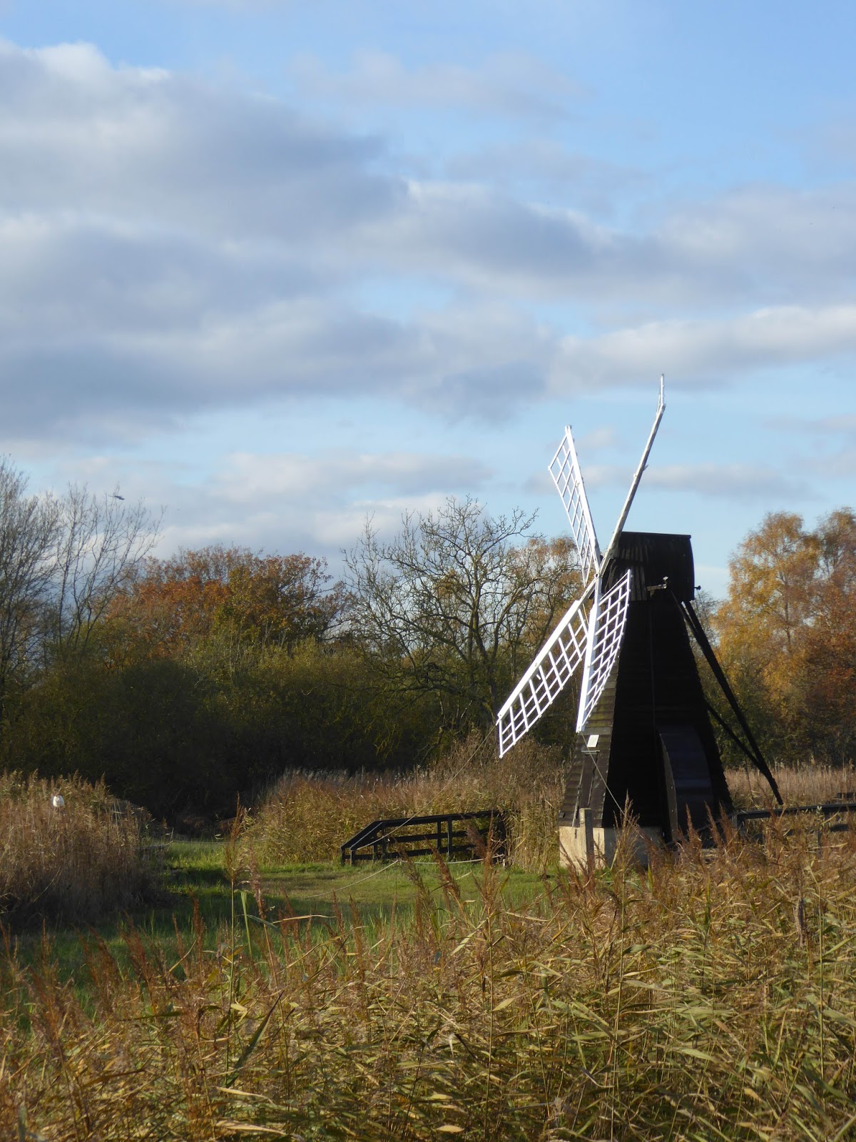 Wild and Wonderful Autumn at NT Wicken Fen