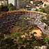 Bullfighting returns to Colombia's capital amid protests