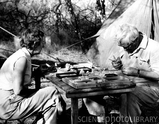 The AE Blog: The legend of Olduvai Gorge: Mary Leakey was born on this day in 1913.