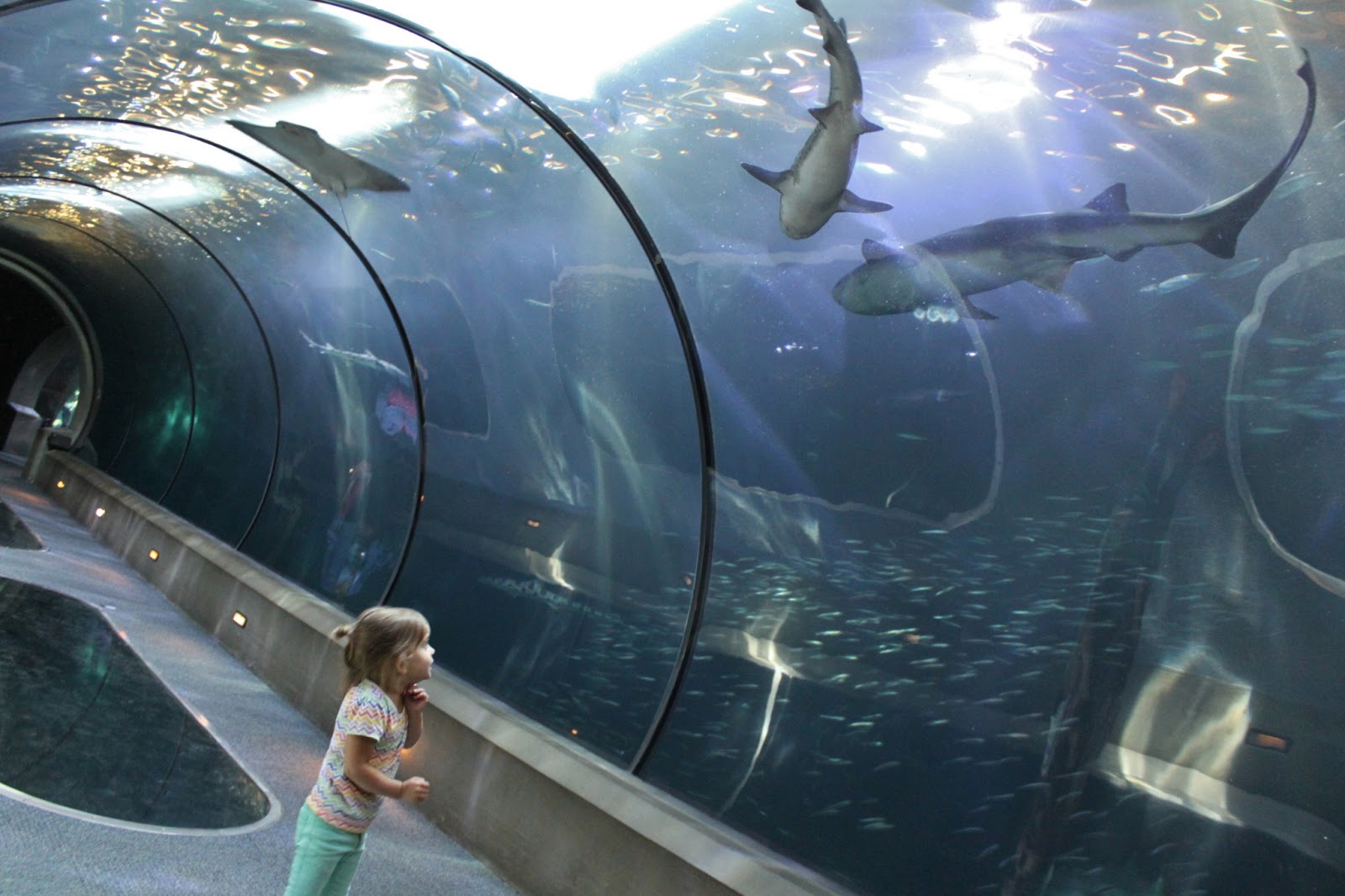 The Blakeys Oregon Coast Aquarium