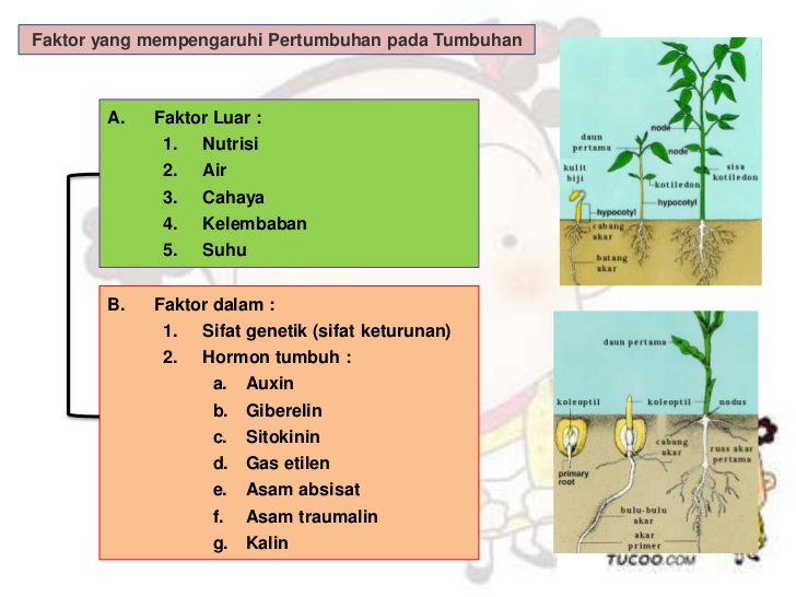 Faktor yang Mempengaruhi Depresiasi