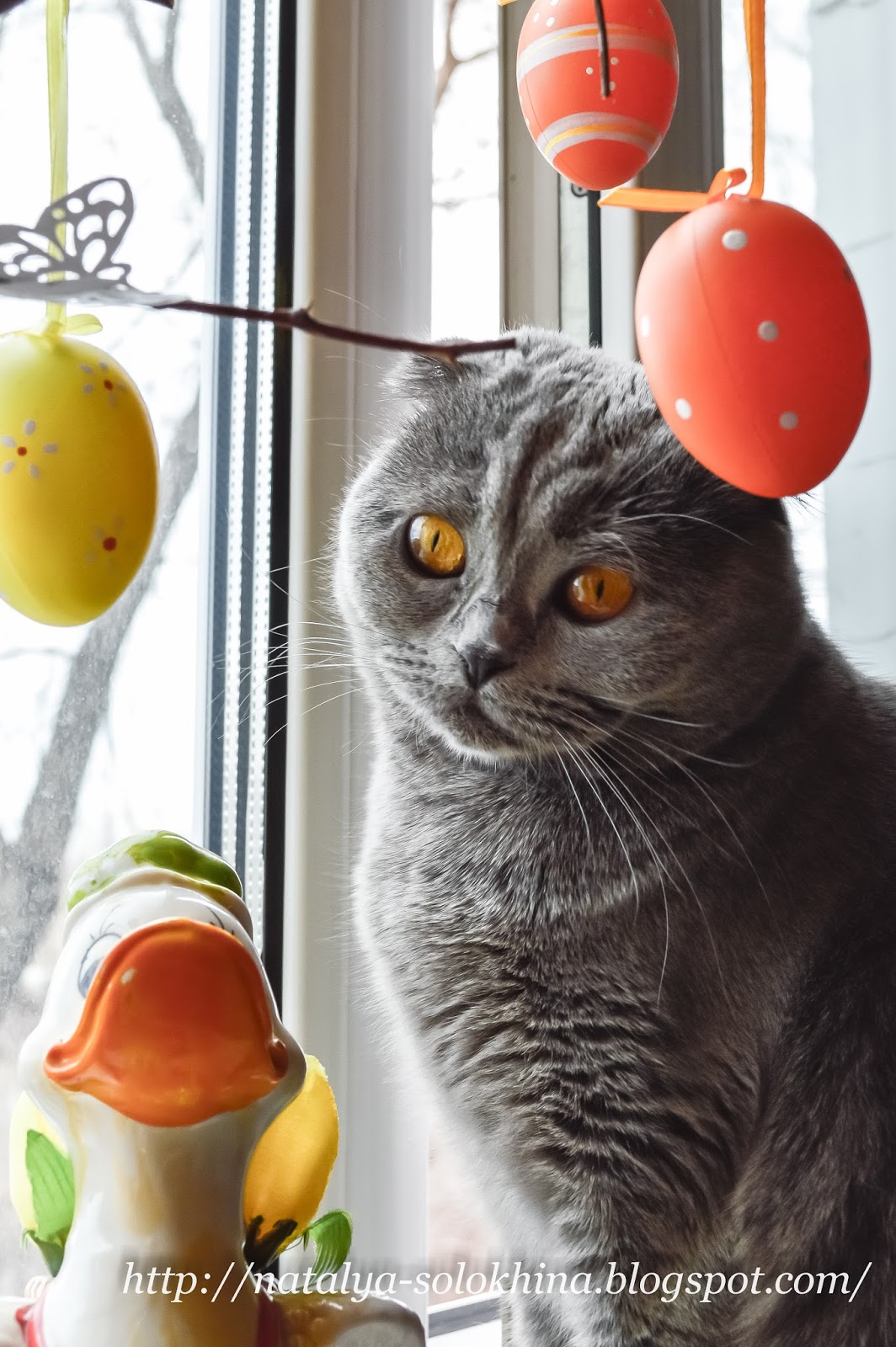 МираДом: Апрельское котиковое
