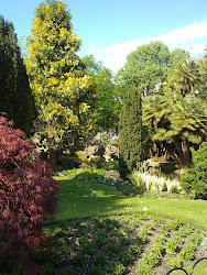 24042010270.jpg