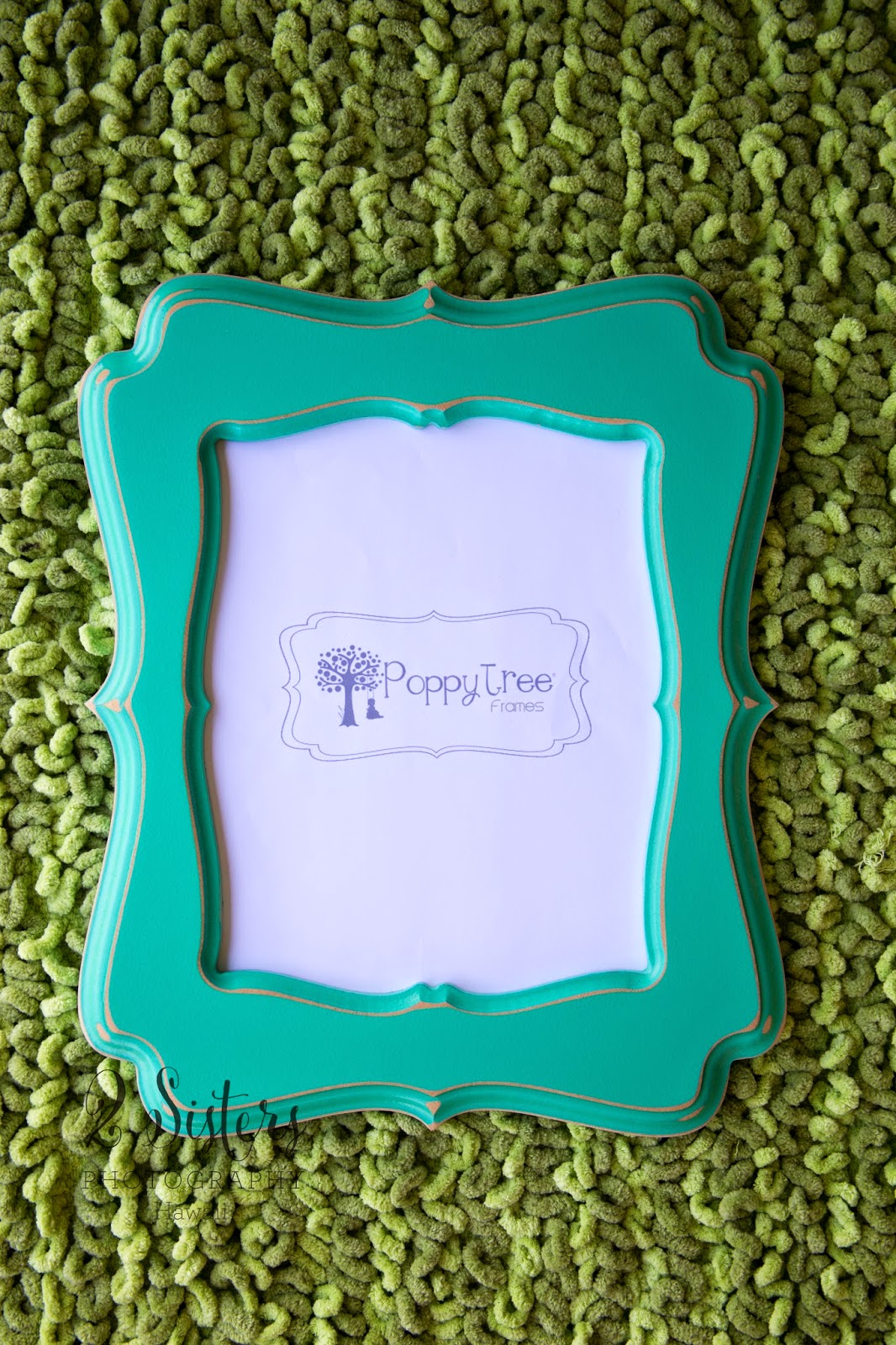 2 Sisters Photography Hawaii & Arizona Product Review Custom Frames