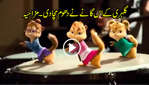 Squirrel Song Urdu, Hindi Gone Viral (Funny) - Best Right Way