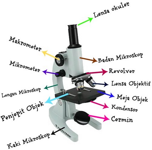 Bagian bagian Mikroskop