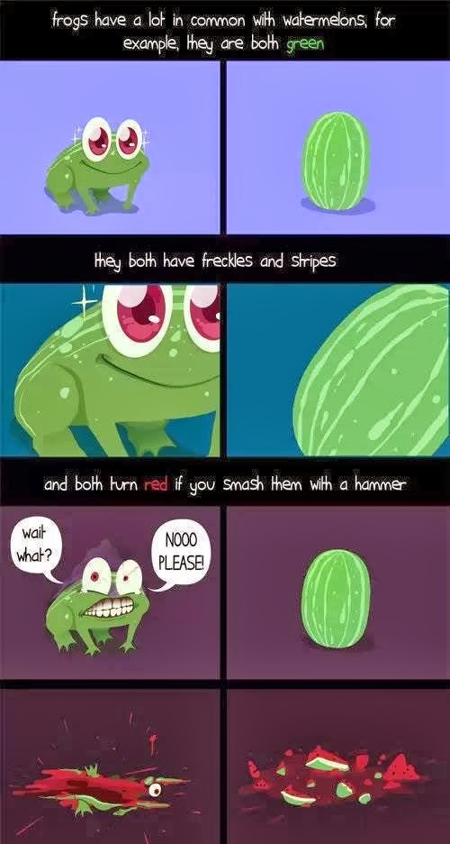 Common Things Between Frog And Watermelons