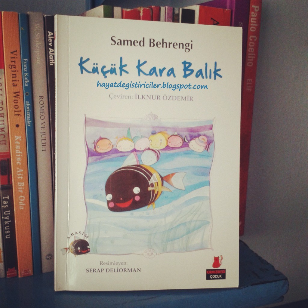 Hayat Değiştiriciler Mayıs 2013
