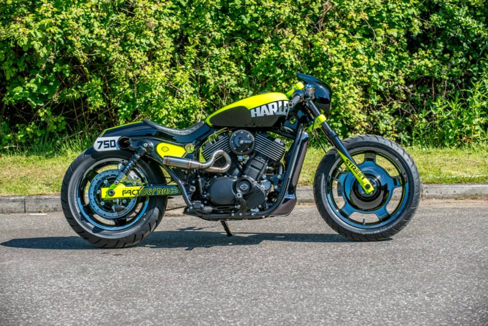 harley speed and custom