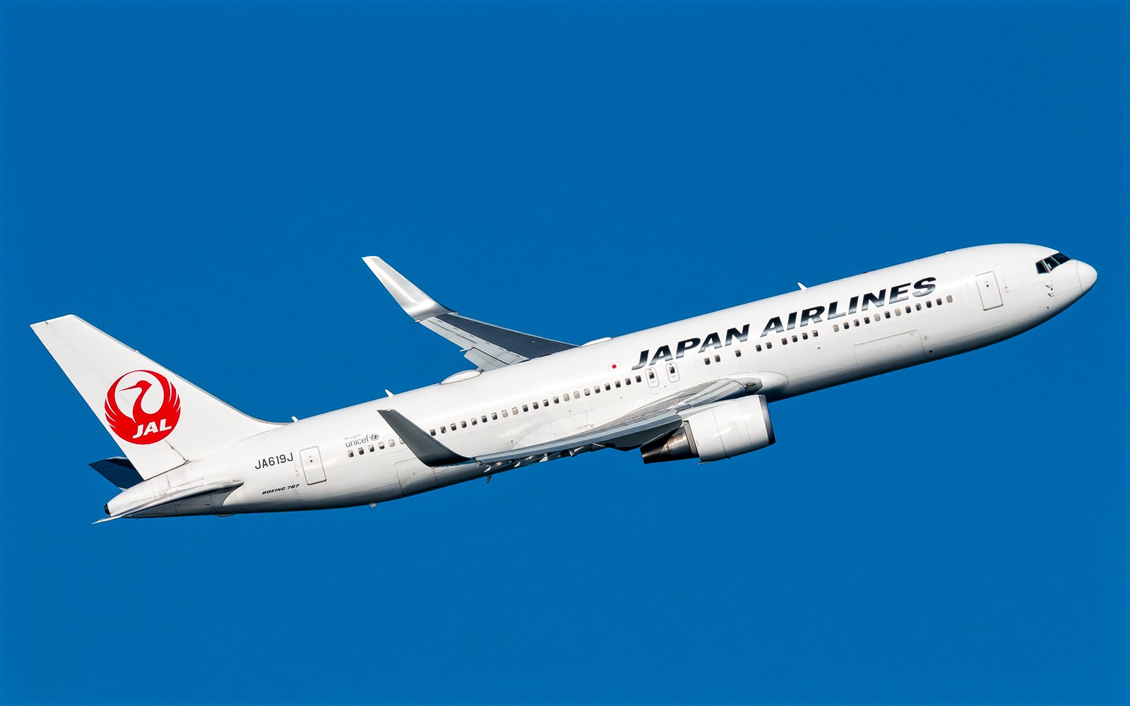 Japan Airlines Flies To Bali In Charter Flights