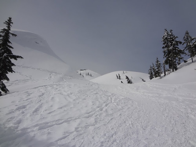 hiking mt. seymour