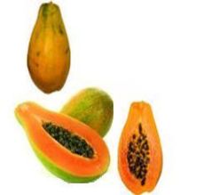 Papaya fruit papaya