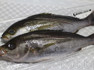 [最も人気のある！] いさき レシピ 煮付け 153527