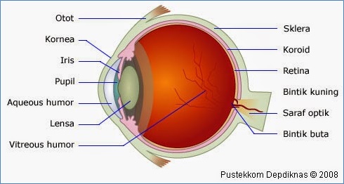 Pengertian dan Konsep dari Sistem Visual Mata pada Manusia