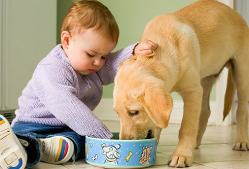 animal de estimacao para crianca cachorro e crianca