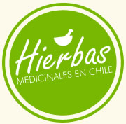 Hierbas medicinales chilenas, oficializadas,
