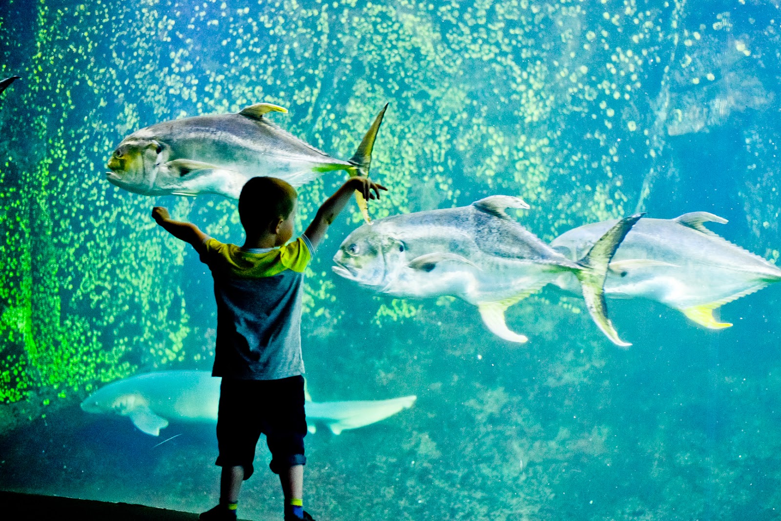 family travel, family travel blog, uk family blog,