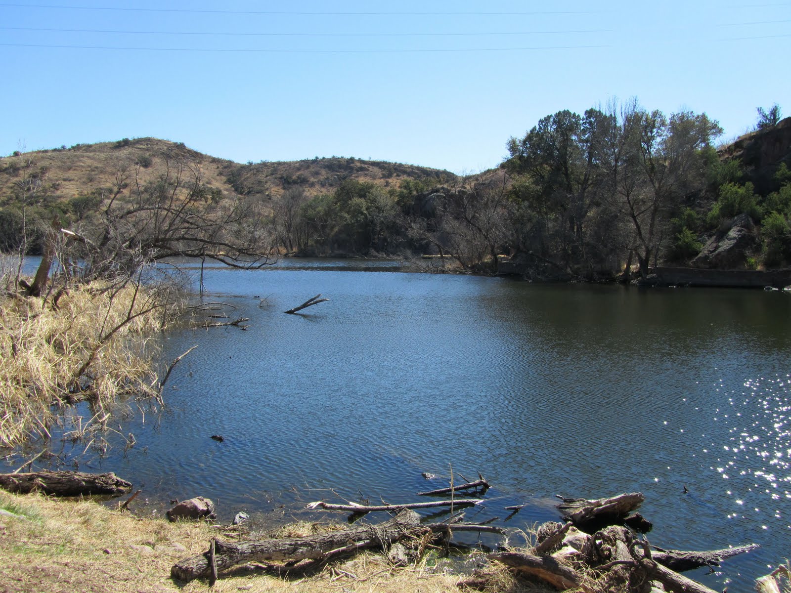 Az. Buddy Pena Blanca Lake, Wrens and Grebe