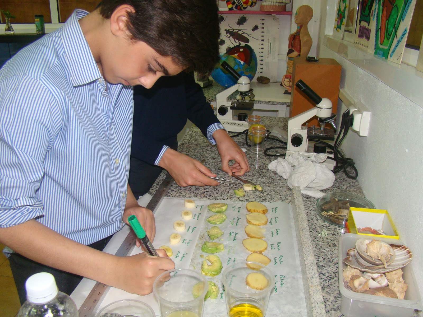 Science Magazine Fruit Oxidation Why do foods turn brown? Science