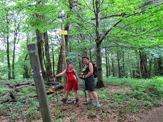 Skibce (776 m n.p.m.), znane również pod nazwą Zrubań.