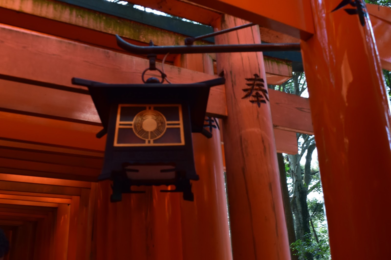 Lantern Fushimi Inari Taisha