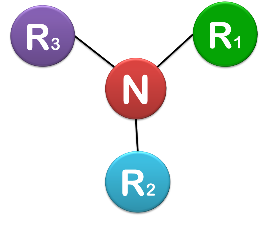 Conociendo la Amina ¿Qué es una Amina?