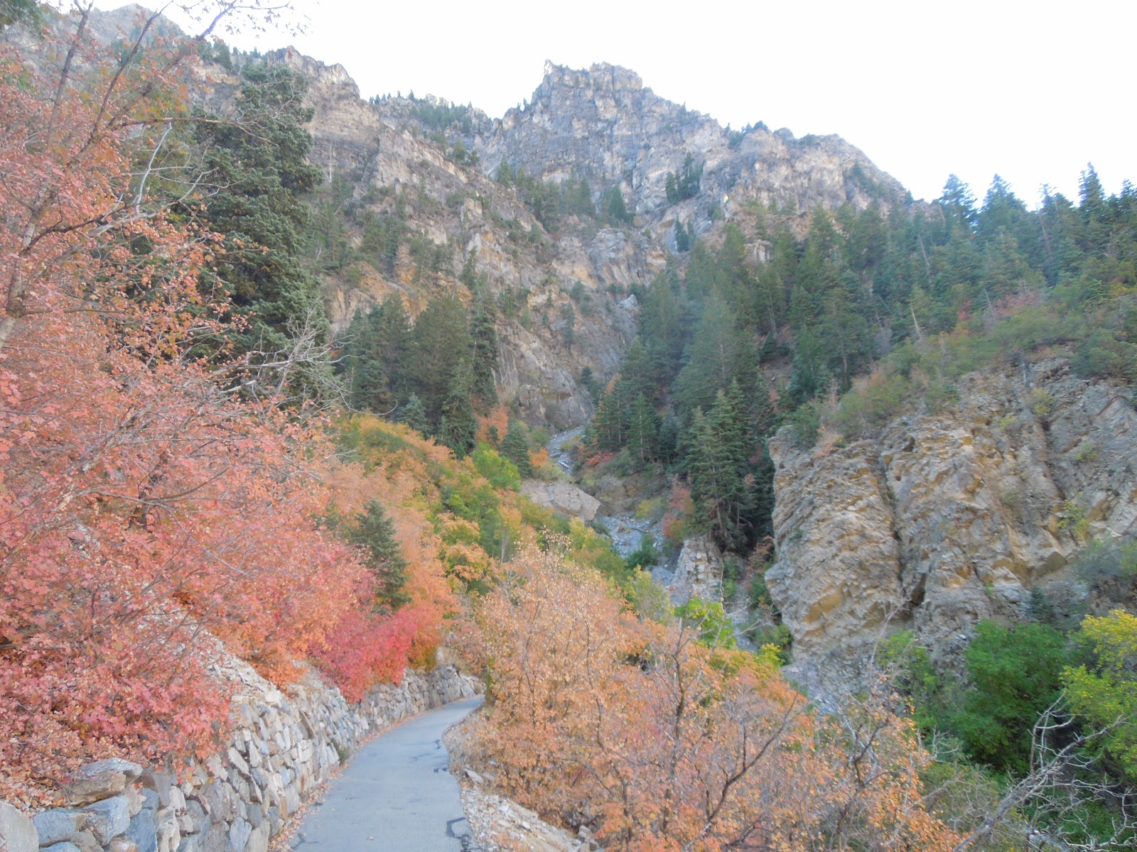 wasatch running company