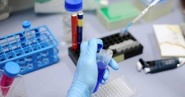 Chi è stato impegnato in aumento di un pene