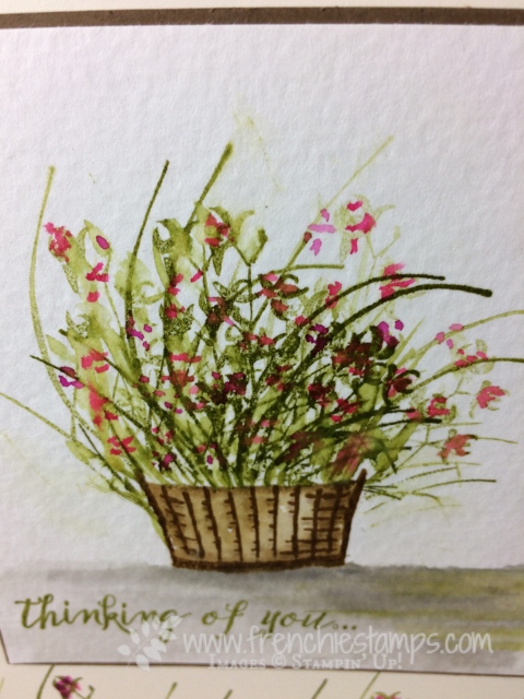 Wild Watercolor, Sprinkles of Life, Artistically Asian, Stampin'Up!