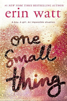 https://www.goodreads.com/book/show/35750273-one-small-thing