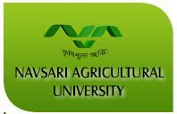 Navsari Agricultural University Recruitment Navsari Agricultural University Recruitment