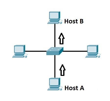 Host b. Маршрутизатор WORKROUTE 1 компании весть-Метатехнология.. How Switch works. Maple Networks устройство. Network device.