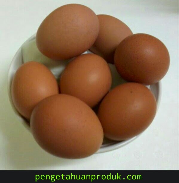 Tips Memilih Telur Berkualias Baik