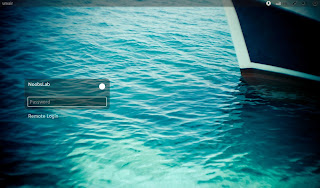 Install Lightdm Display Manager in Linux Mint 15 'Olivia'/Linux Mint 14 'Nadia'