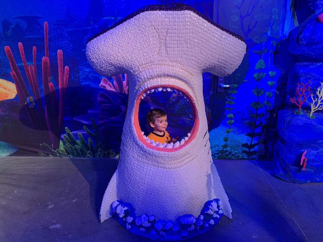 Candytopia in Dallas Offers the Best Childhood Experiences and Memories