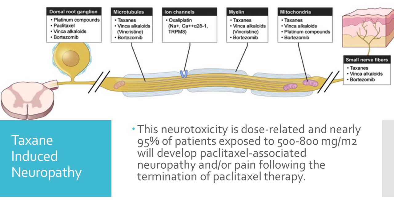 Knowing How Chemo Causes Neuropathy May Lead To Removing The Danger