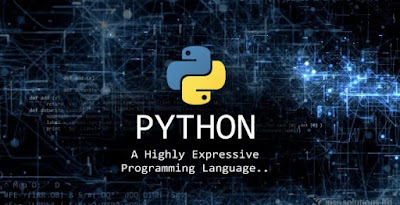 What are the functions and procedures in Python