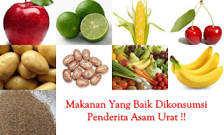 makanan khusus penderita asam urat makanan khusus penderita asam urat