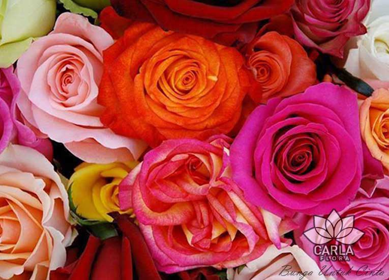 Arti Cinta Lengkap Warna Bunga Mawar Bunga Untuk Cinta