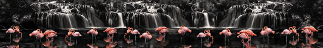  Скинали фламинго у водопада