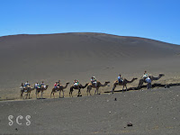 Parque Nacional de Timanfaya Montañas de Fuego (Parque Nacional de Timanfaya) by Susana Cabeza
