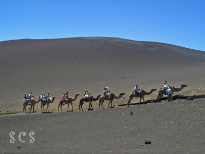 Parque Nacional de Timanfaya Montañas de Fuego (Parque Nacional de Timanfaya) by Susana Cabeza