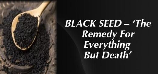 Kezzie's Konfections: The Amazing Benefits Of Black Seed Oil: A ...