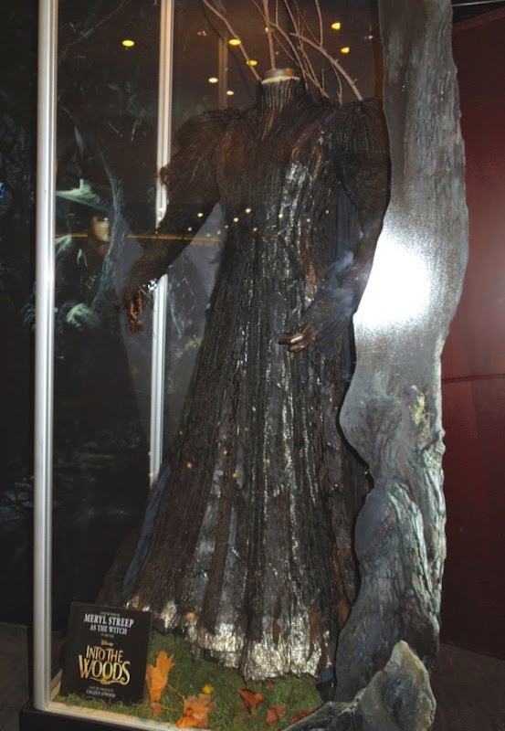 Into the Woods Witch film costume