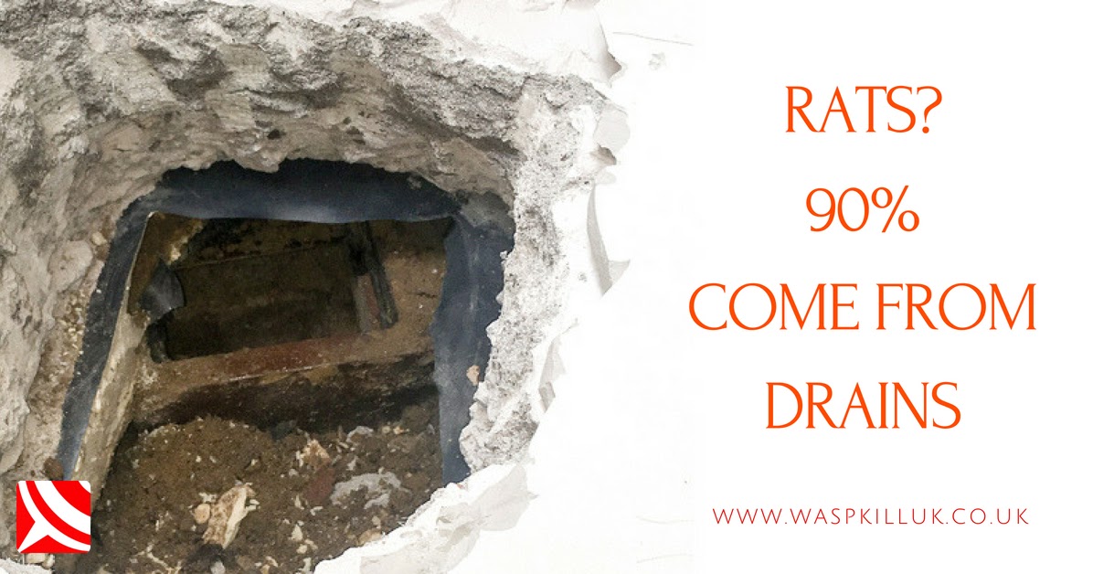 Bristol Pest Control