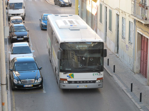 Buses in the Algarve, Portugal