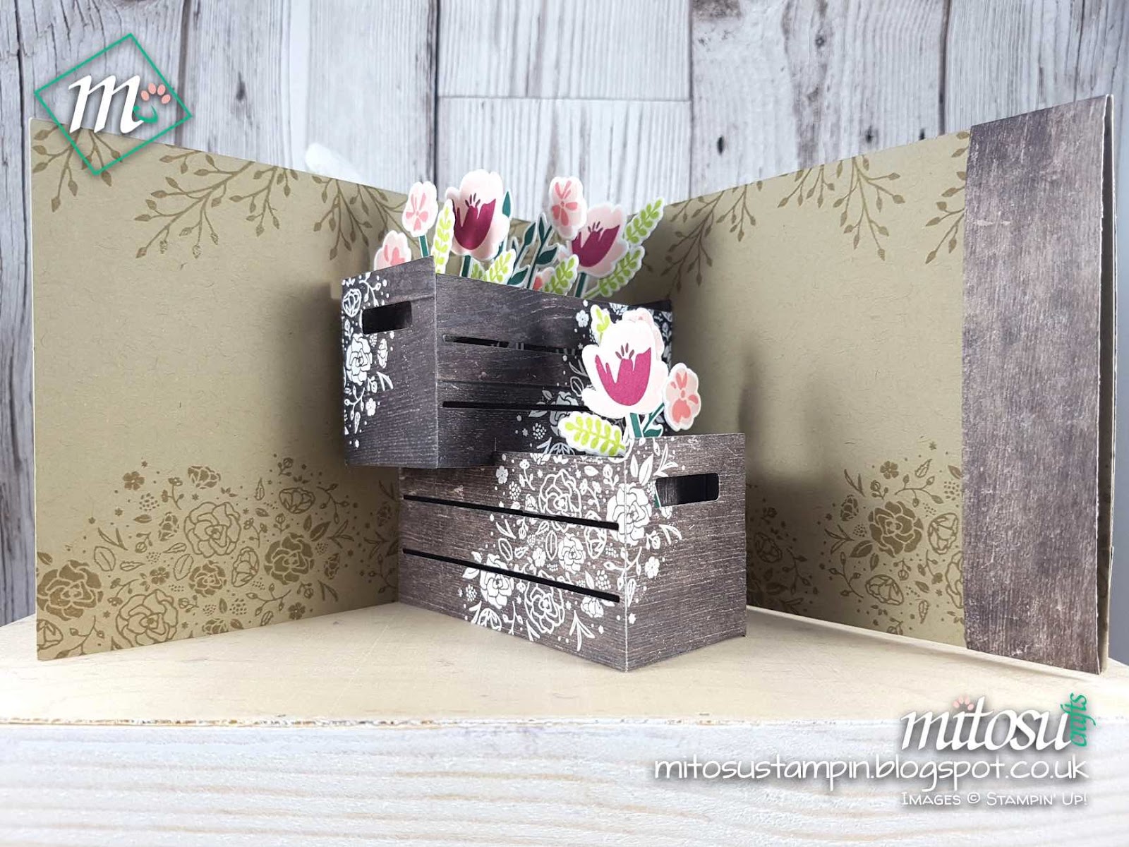 Mitosu Crafts Independent Demonstrators Order Stampin' Up! Online