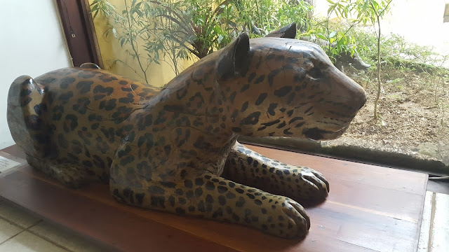 Museu da Floresta da Tijuca Museu da Floresta da Tijuca
