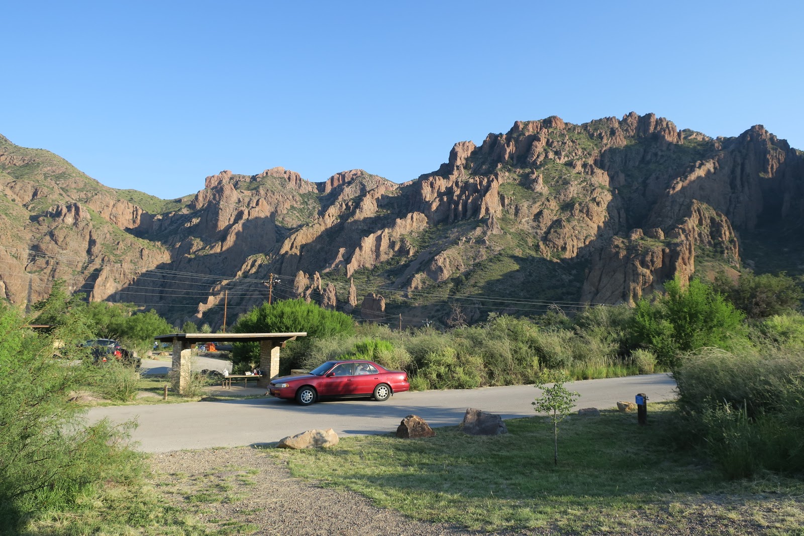 Living Rootless Big Bend National Park Campsite Neighbors
