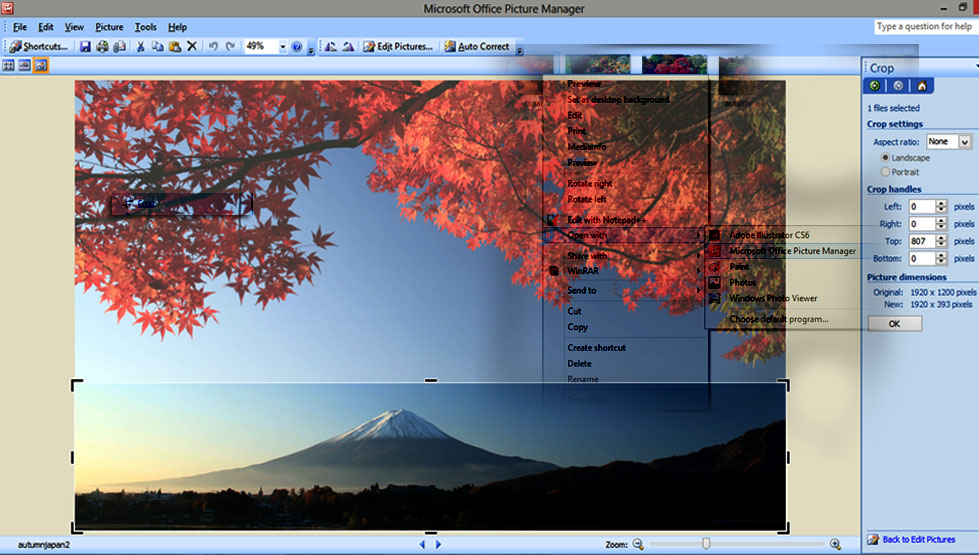 Майкрософт пикчер. Программа Майкрософт для редактирования фото. Microsoft picture Manager. Microsoft Office picture Manager. Программа Microsoft picture Manager.